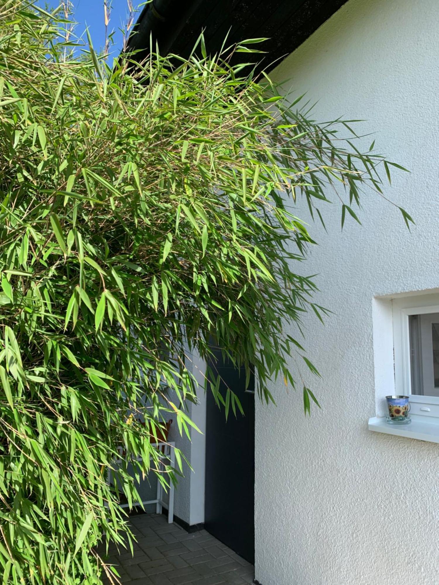 Studiový apartmán V Zahradě Police nad Metují Exterior foto